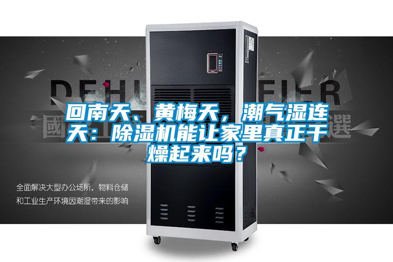 回南天、黃梅天，潮氣濕連天：除濕機能讓家里真正干燥起來嗎？