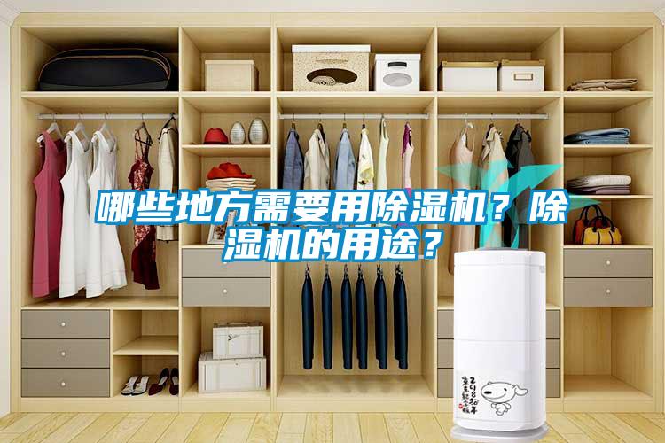 哪些地方需要用除濕機(jī)？除濕機(jī)的用途？