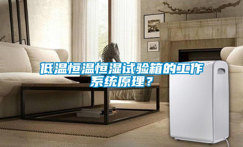 低溫恒溫恒濕試驗(yàn)箱的工作系統(tǒng)原理？