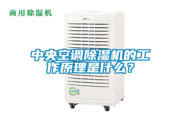 中央空調(diào)除濕機的工作原理是什么？