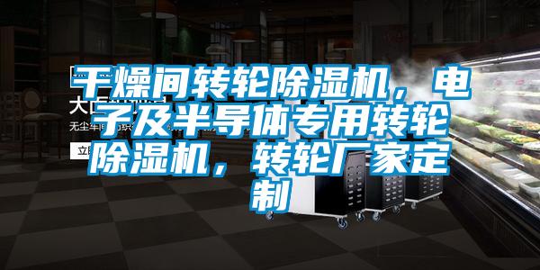 干燥間轉(zhuǎn)輪除濕機(jī)，電子及半導(dǎo)體專用轉(zhuǎn)輪除濕機(jī)，轉(zhuǎn)輪廠家定制