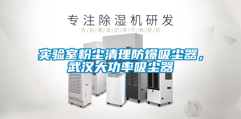 實驗室粉塵清理防爆吸塵器，武漢大功率吸塵器