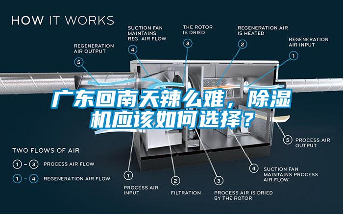 廣東回南天辣么難，除濕機應(yīng)該如何選擇？