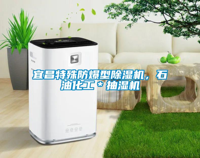宜昌特殊防爆型除濕機(jī)，石油化工＊抽濕機(jī)