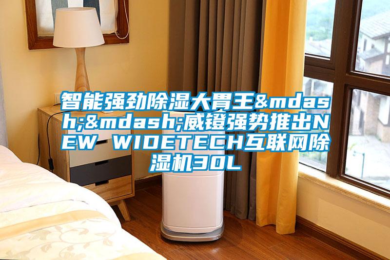 智能強(qiáng)勁除濕大胃王——威鐙強(qiáng)勢推出NEW WIDETECH互聯(lián)網(wǎng)除濕機(jī)30L