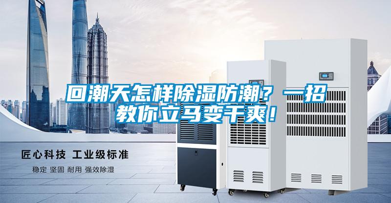 回潮天怎樣除濕防潮？一招教你立馬變干爽！