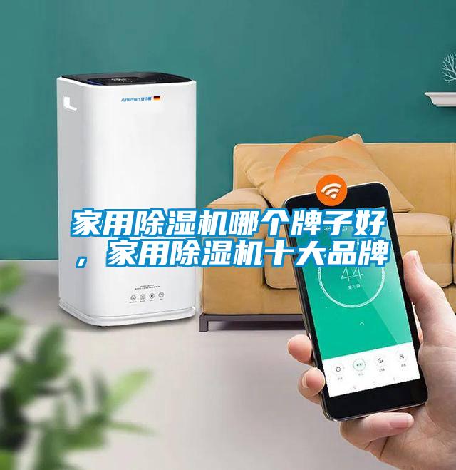 家用除濕機(jī)哪個(gè)牌子好，家用除濕機(jī)十大品牌