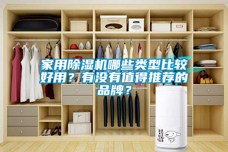 家用除濕機(jī)哪些類型比較好用？有沒有值得推薦的品牌？