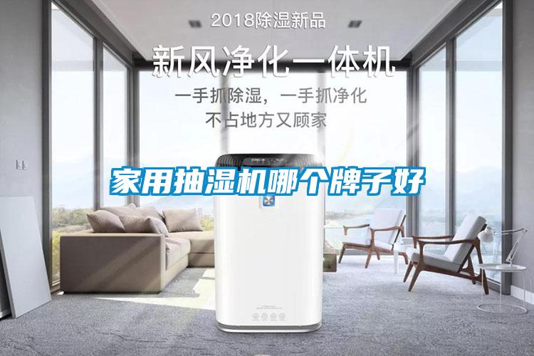 家用抽濕機(jī)哪個牌子好