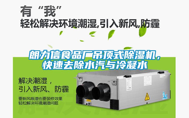 朗力信食品廠吊頂式除濕機(jī)，快速去除水汽與冷凝水