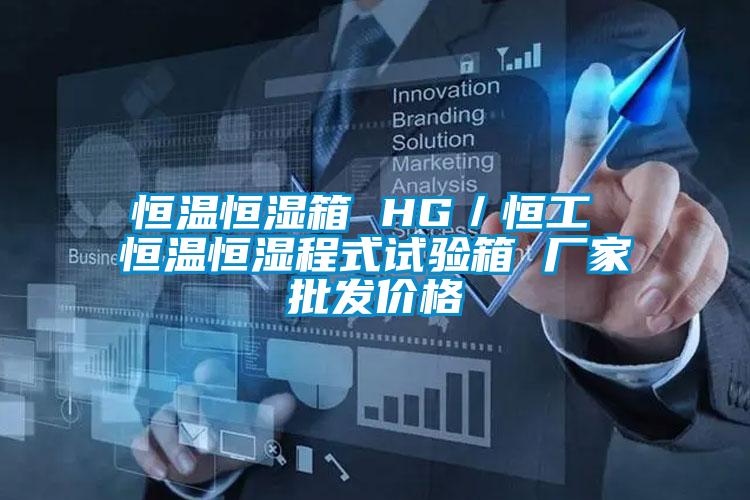 恒溫恒濕箱 HG／恒工 恒溫恒濕程式試驗(yàn)箱 廠家批發(fā)價格