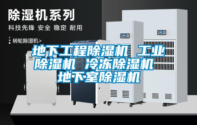 地下工程除濕機(jī) 工業(yè)除濕機(jī) 冷凍除濕機(jī) 地下室除濕機(jī)