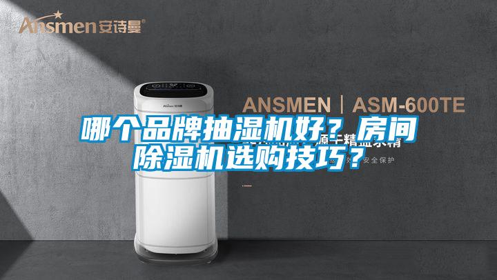 哪個(gè)品牌抽濕機(jī)好？房間除濕機(jī)選購(gòu)技巧？