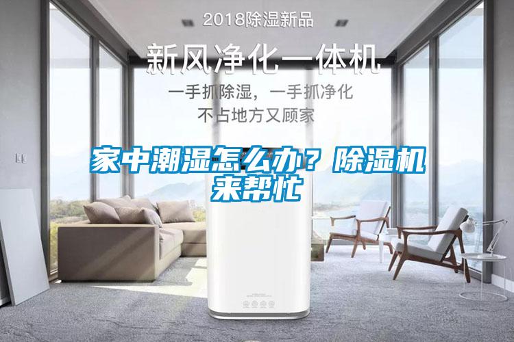 家中潮濕怎么辦？除濕機(jī)來幫忙
