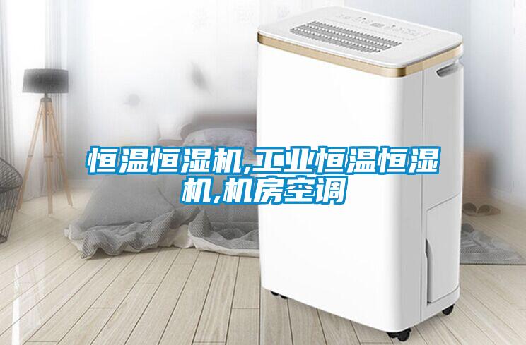 恒溫恒濕機,工業(yè)恒溫恒濕機,機房空調