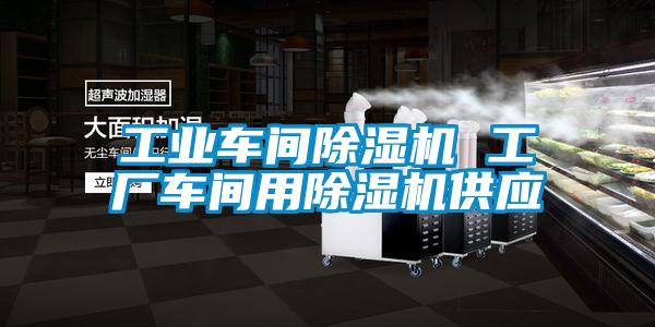 工業(yè)車間除濕機 工廠車間用除濕機供應