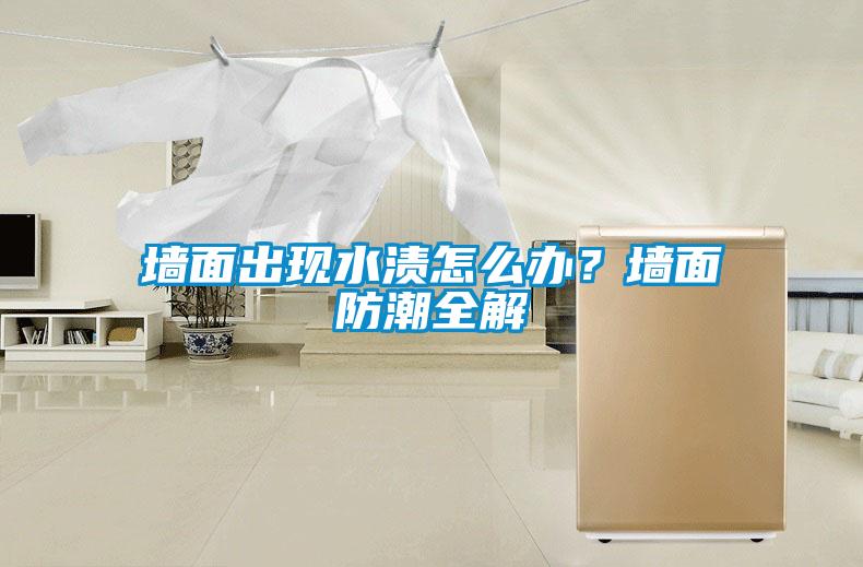 墻面出現(xiàn)水漬怎么辦？墻面防潮全解