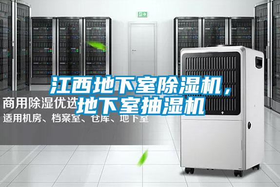 江西地下室除濕機(jī)，地下室抽濕機(jī)
