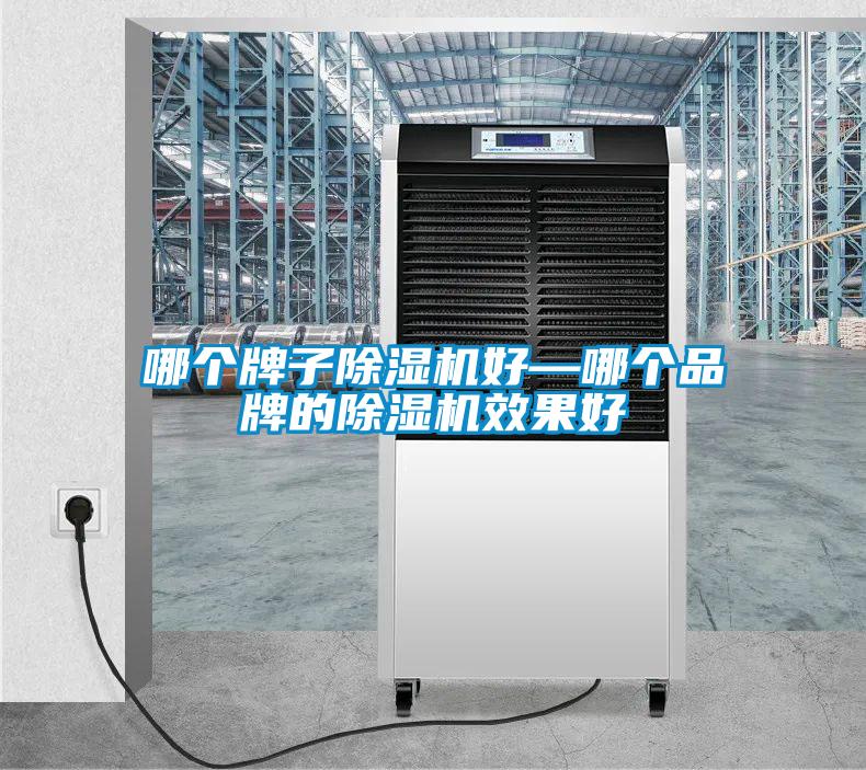 哪個(gè)牌子除濕機(jī)好—哪個(gè)品牌的除濕機(jī)效果好