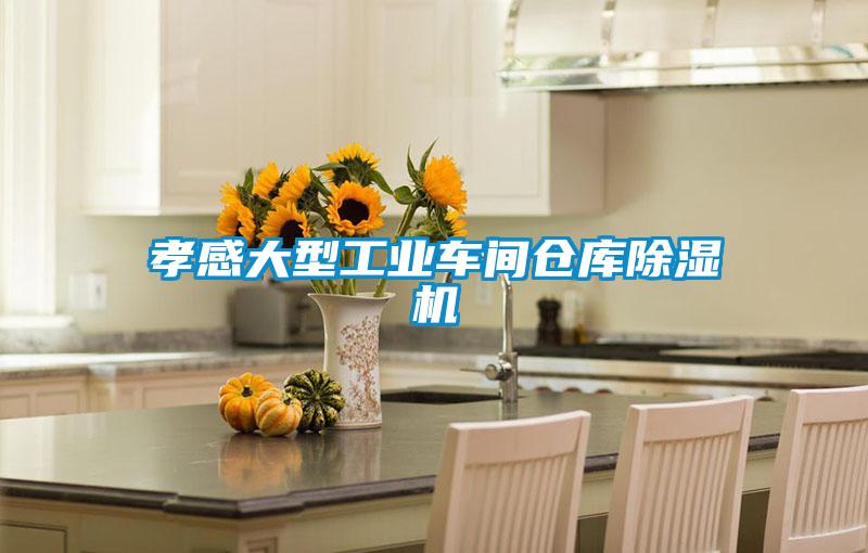 孝感大型工業(yè)車(chē)間倉(cāng)庫(kù)除濕機(jī)