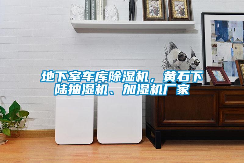 地下室車庫除濕機(jī)，黃石下陸抽濕機(jī)、加濕機(jī)廠家