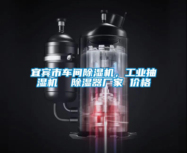 宜賓市車間除濕機(jī)，工業(yè)抽濕機(jī)  除濕器廠家 價格