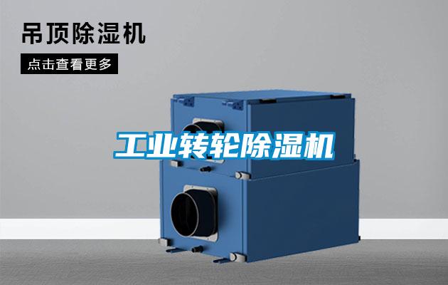 工業(yè)轉輪除濕機