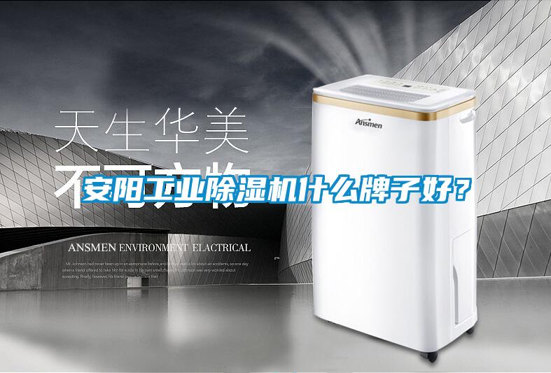 安陽工業(yè)除濕機(jī)什么牌子好？