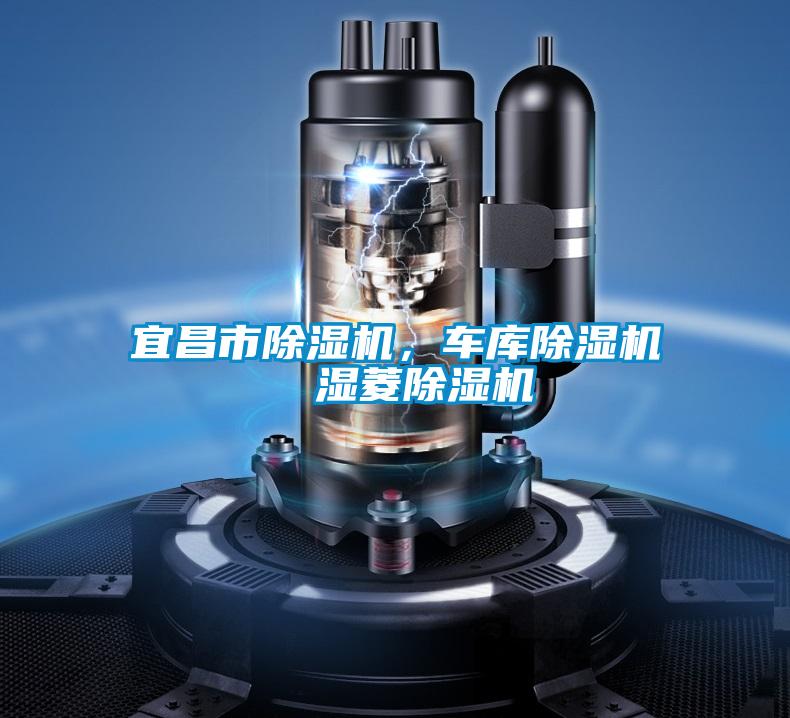 宜昌市除濕機(jī)，車庫(kù)除濕機(jī)  濕菱除濕機(jī)