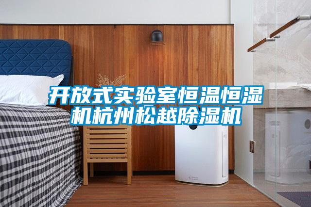 開放式實(shí)驗(yàn)室恒溫恒濕機(jī)杭州松越除濕機(jī)