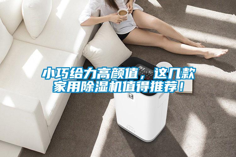 小巧給力高顏值，這幾款家用除濕機值得推薦！