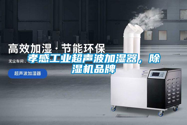 孝感工業(yè)超聲波加濕器，除濕機品牌
