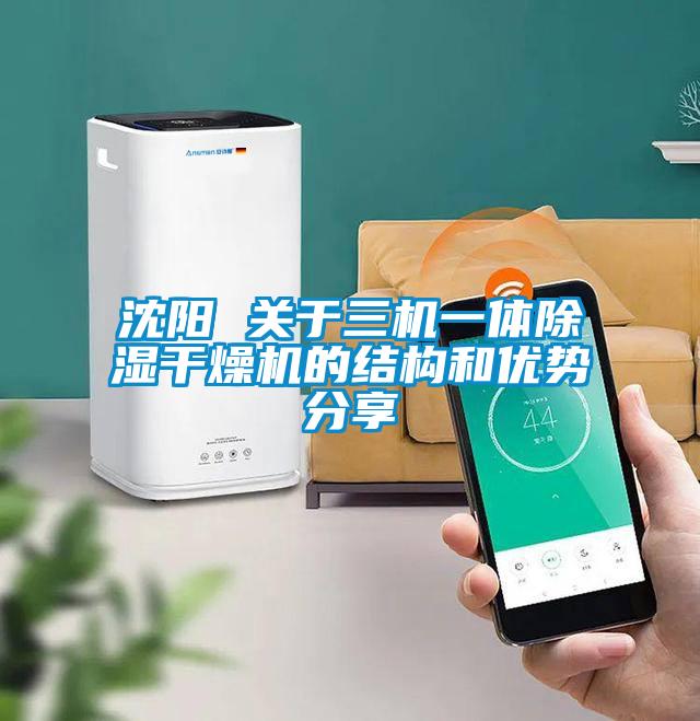 沈陽 關(guān)于三機(jī)一體除濕干燥機(jī)的結(jié)構(gòu)和優(yōu)勢(shì)分享