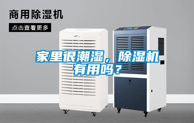 家里很潮濕，除濕機(jī)有用嗎？