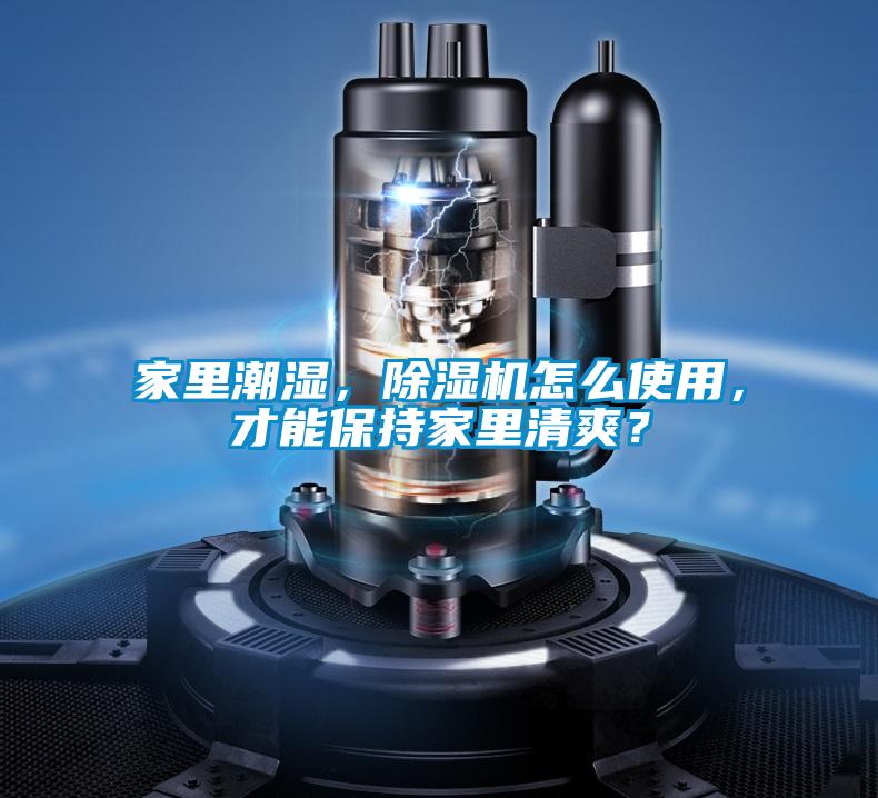 家里潮濕，除濕機(jī)怎么使用，才能保持家里清爽？