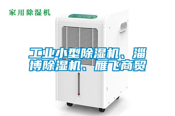 工業(yè)小型除濕機、淄博除濕機、雁飛商貿(mào)