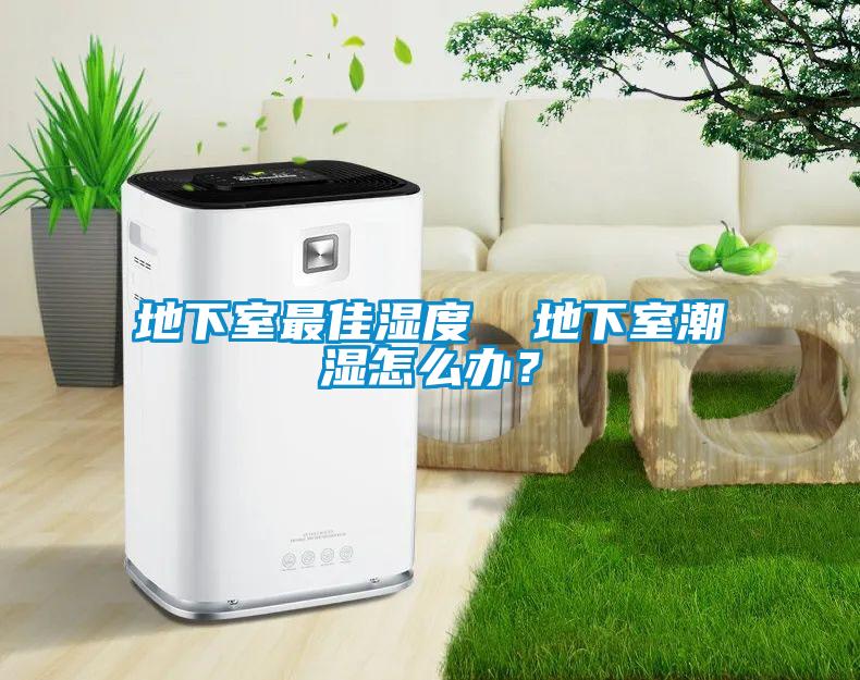 地下室最佳濕度  地下室潮濕怎么辦？