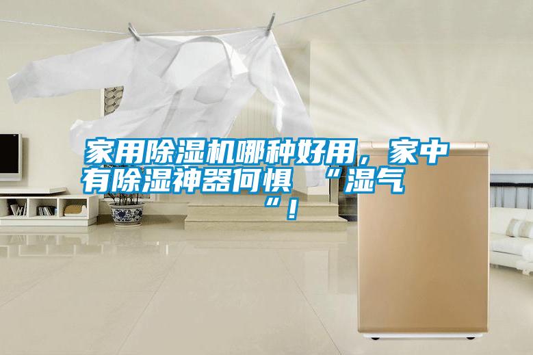 家用除濕機哪種好用，家中有除濕神器何懼 “濕氣 “！