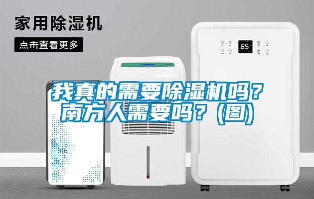 我真的需要除濕機嗎？南方人需要嗎？(圖)