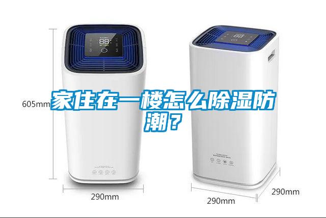 家住在一樓怎么除濕防潮？