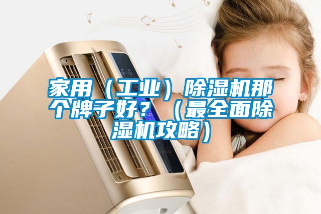 家用（工業(yè)）除濕機(jī)那個(gè)牌子好？（最全面除濕機(jī)攻略）