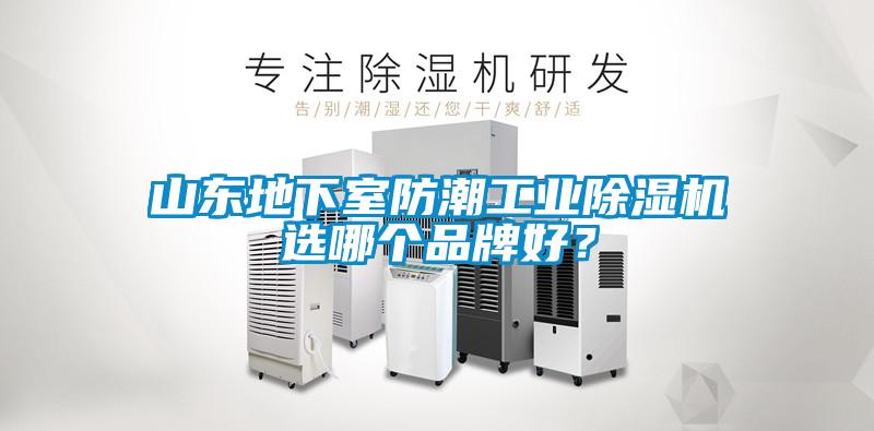山東地下室防潮工業(yè)除濕機(jī)選哪個(gè)品牌好？