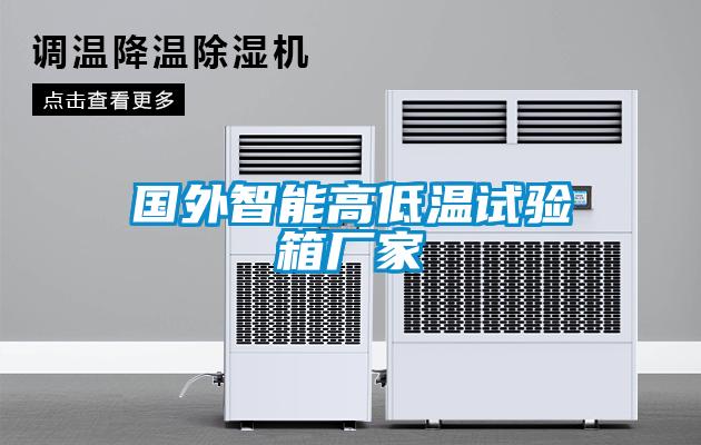 國(guó)外智能高低溫試驗(yàn)箱廠家
