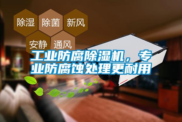 工業(yè)防腐除濕機(jī)，專業(yè)防腐蝕處理更耐用