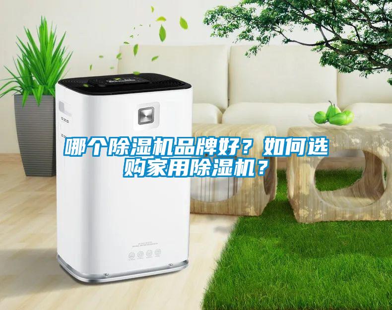 哪個(gè)除濕機(jī)品牌好？如何選購(gòu)家用除濕機(jī)？
