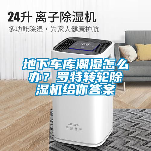 地下車庫潮濕怎么辦？羅特轉(zhuǎn)輪除濕機(jī)給你答案