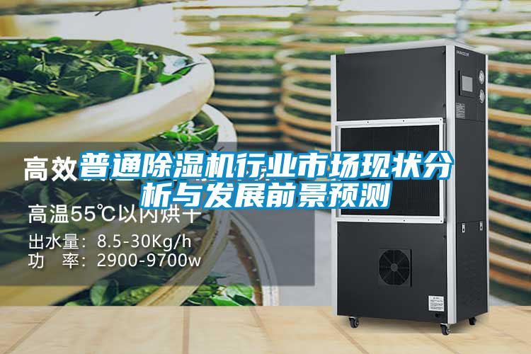 普通除濕機行業(yè)市場現(xiàn)狀分析與發(fā)展前景預測