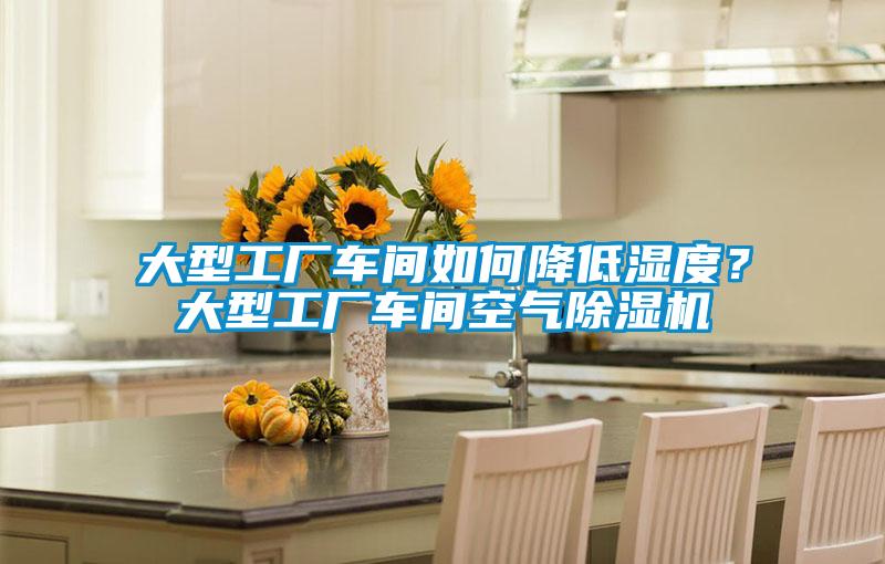 大型工廠車間如何降低濕度？大型工廠車間空氣除濕機(jī)