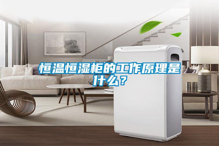 恒溫恒濕柜的工作原理是什么？