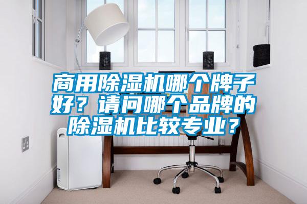 商用除濕機(jī)哪個牌子好？請問哪個品牌的除濕機(jī)比較專業(yè)？